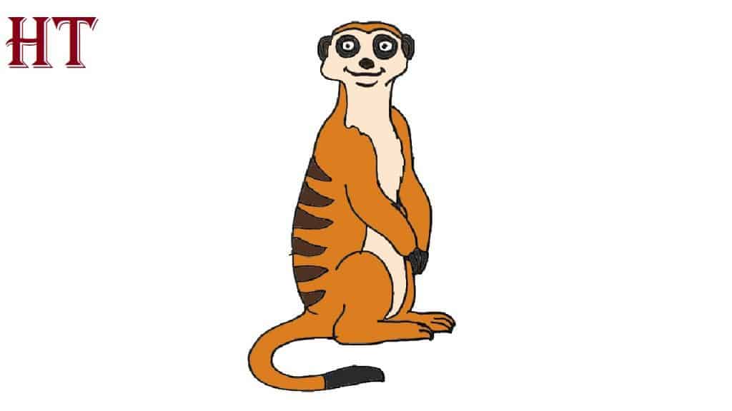 How to Draw a Meerkat