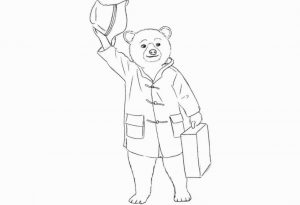 How to draw paddington bear