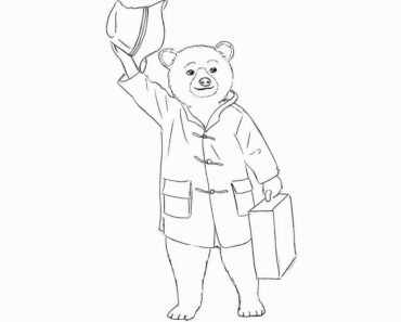 How to draw paddington bear Step by Step