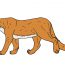 How to Draw a Mountain Lion Easy Step by Step