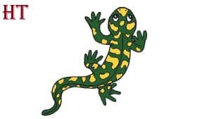 How to Draw a Salamander