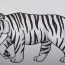 How to Draw a Siberian Tiger Step by Step