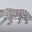 How to Draw a Snow Leopard Easy Step by Step