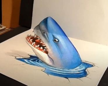 3D Shark Drawing with Pencil