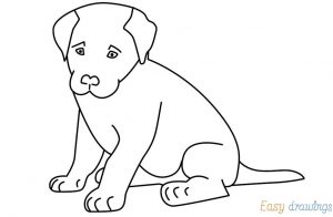HOW TO DRAW A SITTING DOG