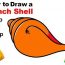 How to Draw a Conch Shell Step by Step