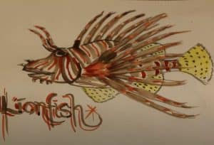 How to Draw a Lionfish