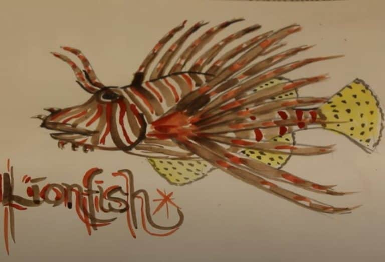 how-to-draw-a-lionfish-step-by-step