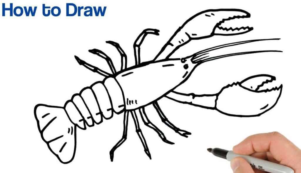 How to Draw a Lobster