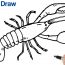 Lobster Drawing easy Step by Step