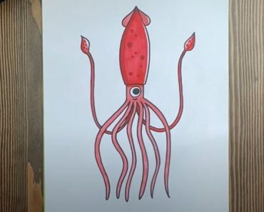 How to Draw a Squid Step by Step