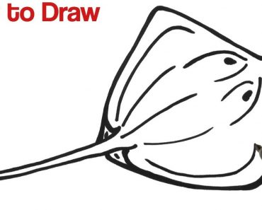How to Draw a Stingray Step by Step