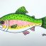 How to Draw a Trout Step by Step