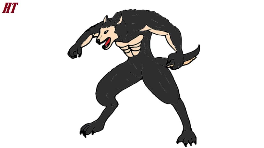 Vector illustration of a wolf drawing, step-by-step guide for beginners, showing the process of sketching and coloring a wolf character similar to the image on htdraw.com.