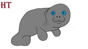 How to draw a dugong