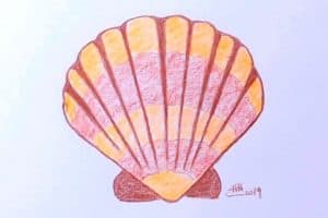 How to draw a seashell