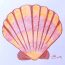 How to draw a seashell Step by Step