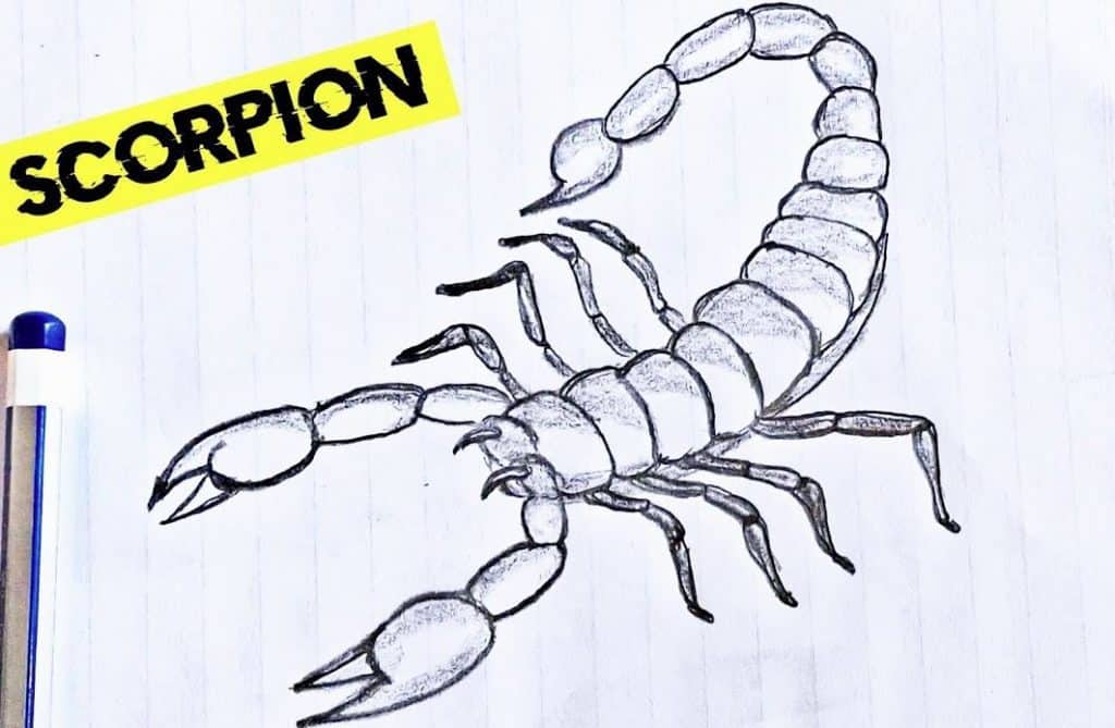 how to draw a scorpion