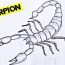 Scorpion Drawing easy Step by Step