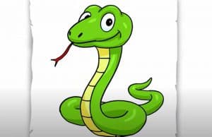 How To Draw A Cartoon Snake