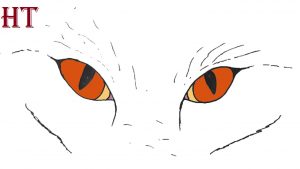 How To Draw Fox Eyes