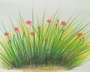How To Draw Grass easy Step by Step
