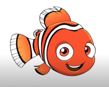 How To Draw Nemo Fish Step by Step