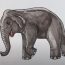 How to Draw a Asian Elephant