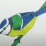 How to Draw a Blue Tit Step by Step