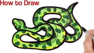 How to Draw a Green Anaconda