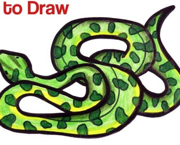 How to Draw a Green Anaconda Step by Step