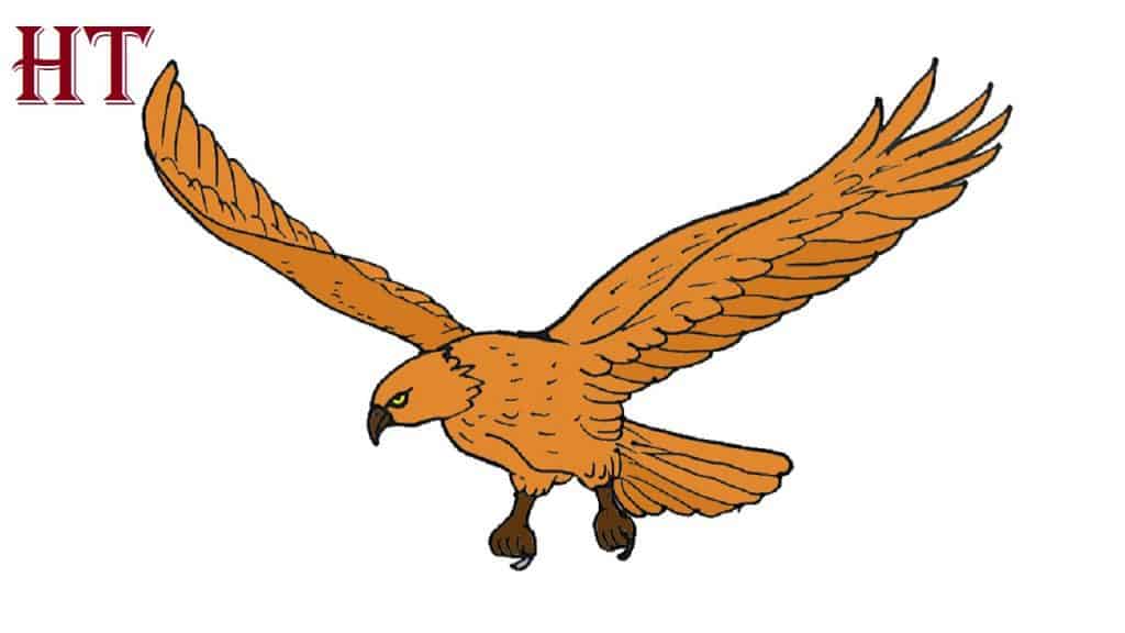 How to Draw a Mexican Eagle