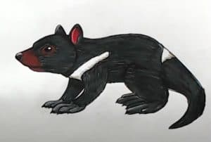 How to Draw a Tasmanian Devil