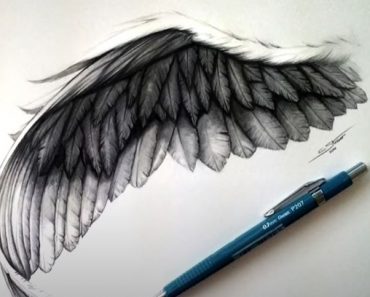 How to Draw a Wing Step by Step