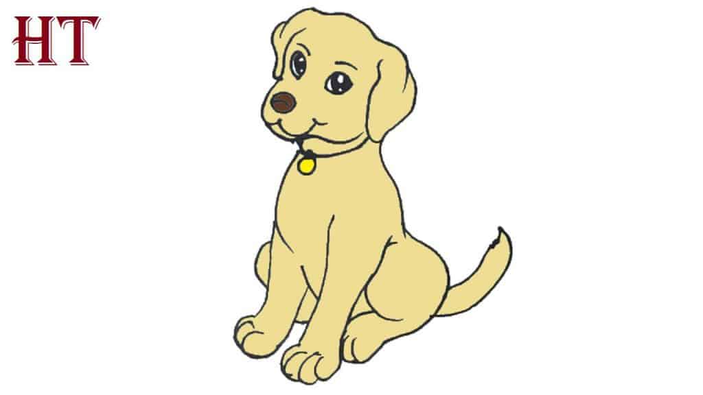How to draw a labrador dog