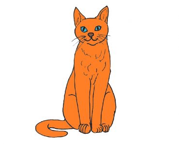 How to draw a sitting cat step by step