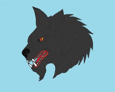 How to draw a Werewolf head Step by Step