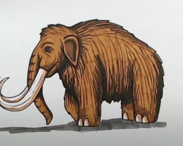 How To Draw A Woolly Mammoth