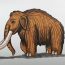 How To Draw A Woolly Mammoth