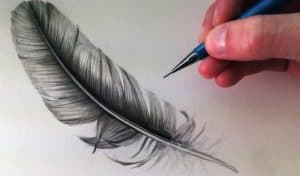 How To Draw Feathers