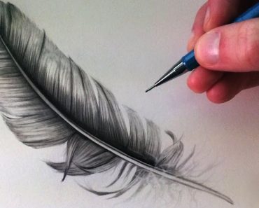 How To Draw Feathers