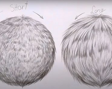How to Draw Fur Step by Step