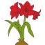 How to draw a Amaryllis Flower