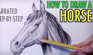 How to draw a realistic horse head
