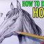 How to draw a realistic Horse head Step by Step