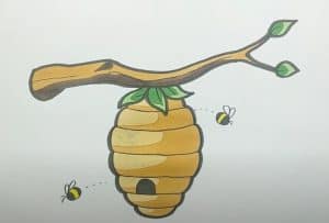 How To Draw A Beehive