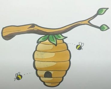 How To Draw A Beehive Step by Step