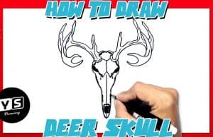 How To Draw A Deer Skull