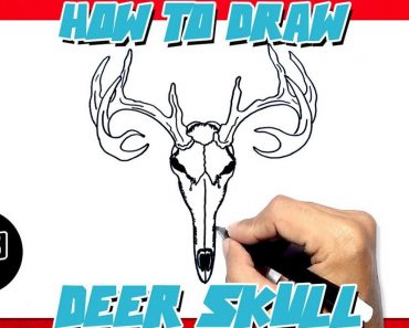 How To Draw A Deer Skull Step by Step