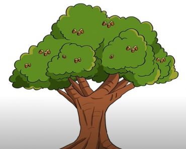How To Draw An Oak Tree Step by Step